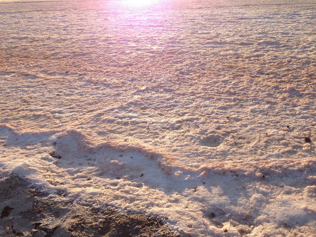 Salt beds off Shoreline Bay trail krishanu_seal Flickr