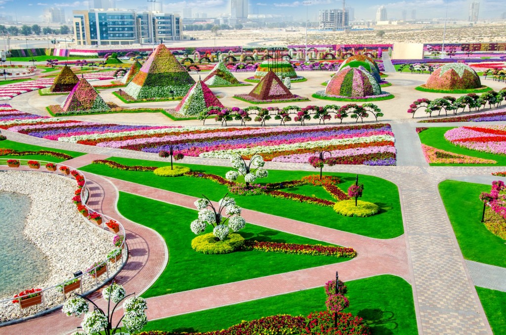 Dubai Miracle Garden The Highest flower Pyramid in the wor… Flickr