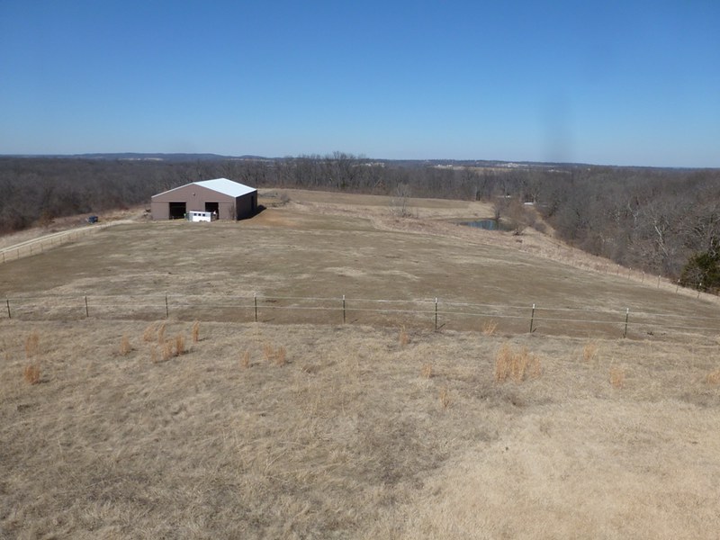 Gibson Auction Flickr