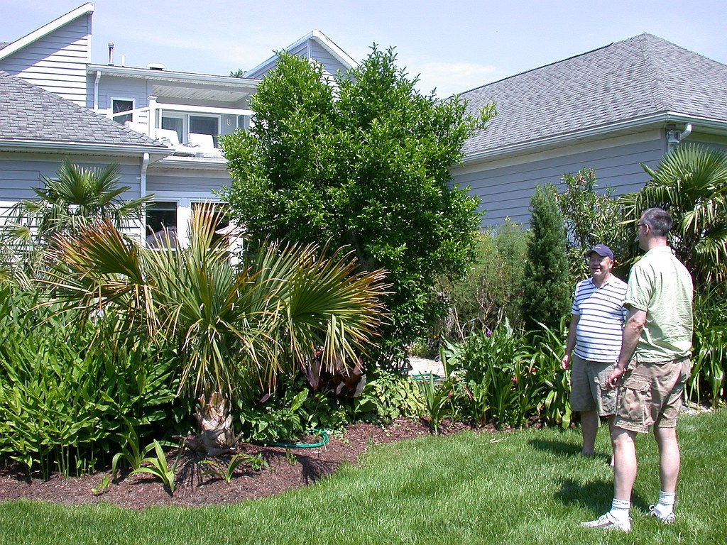 Rehoboth Beach garden a photo on Flickriver