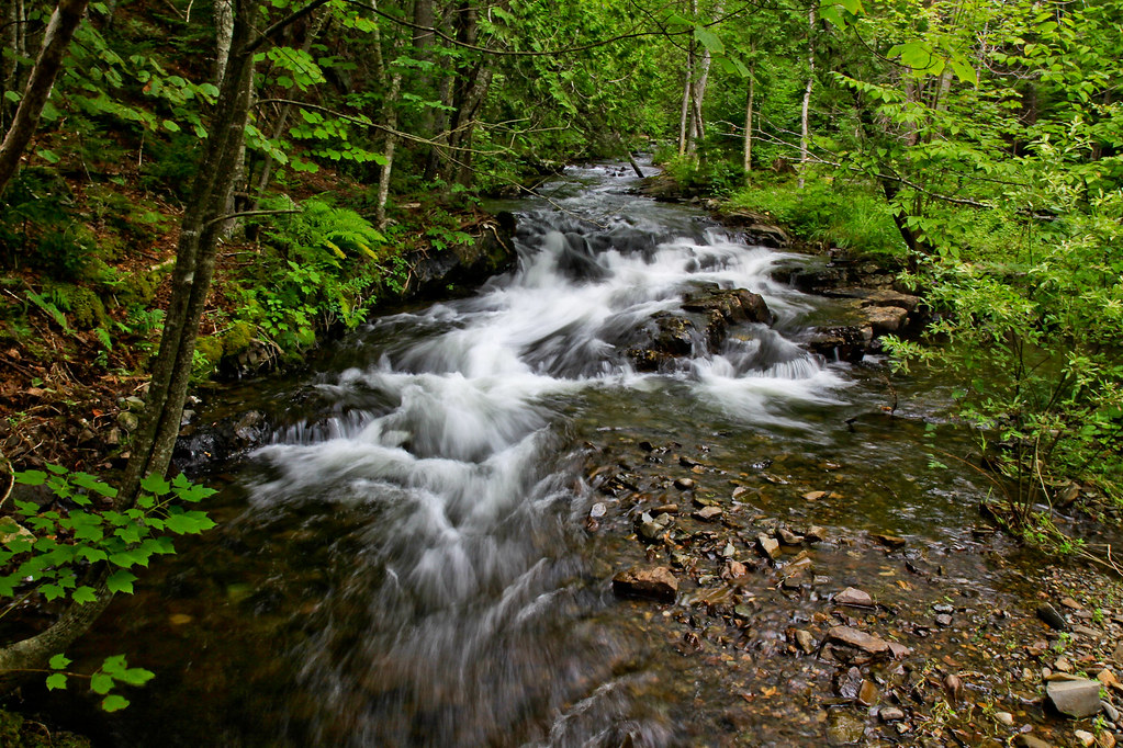 Stream in summer Chamcook, New Brunswick, Canada. Matt Hintsa Flickr