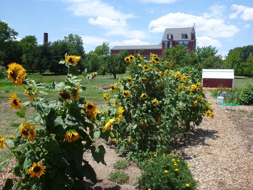 Belleville High Banks Hall Of Fame, Belleville KS
