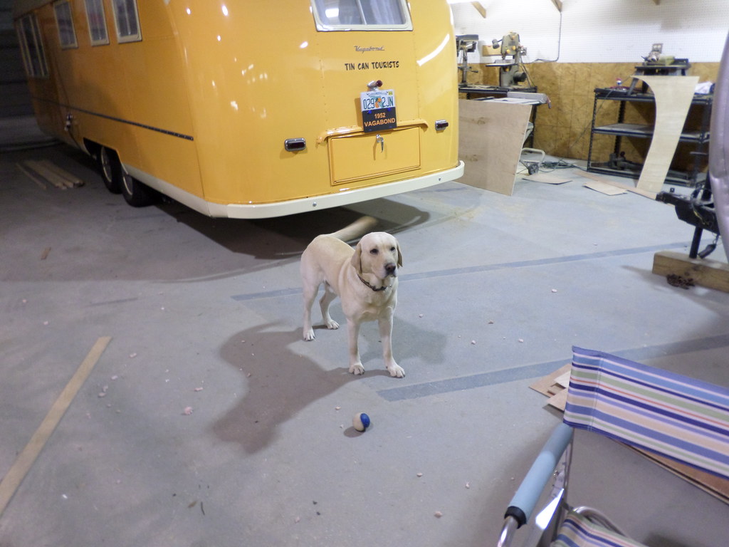 1953 Viking Coach Restored by Flickr