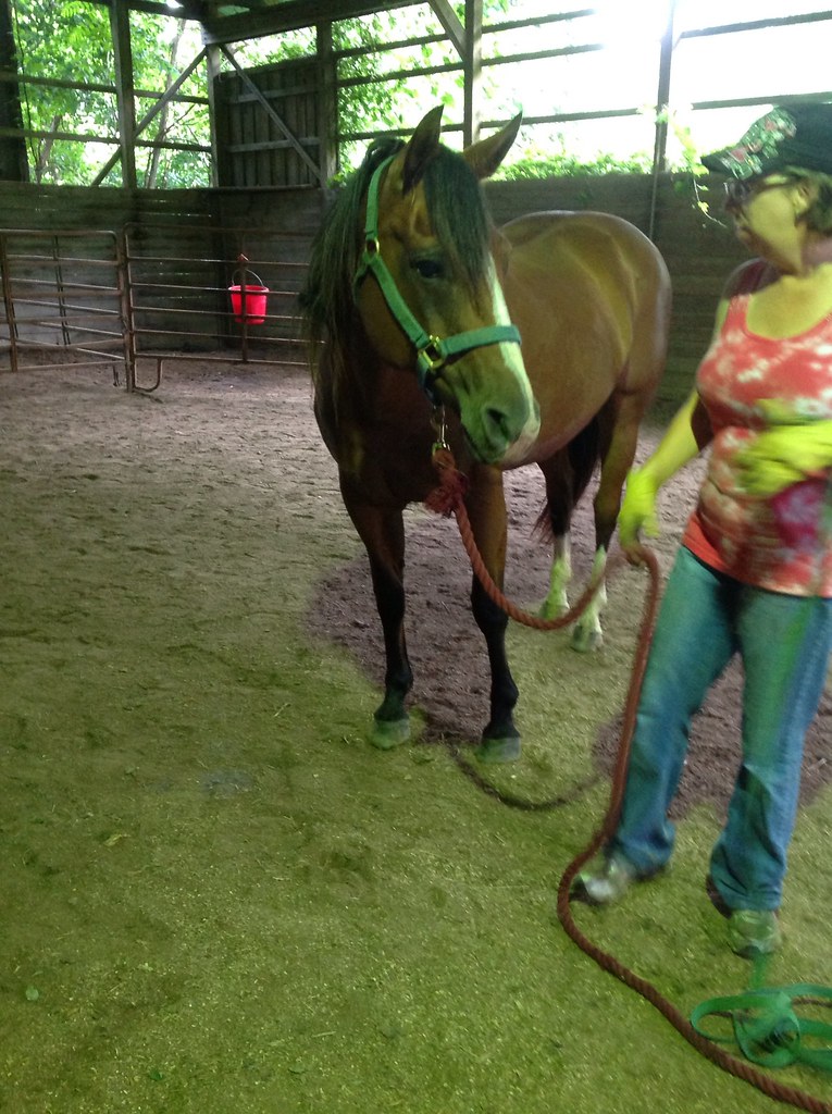 Hotrodders Jet Set Mare Flickr