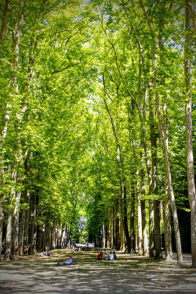 Versailles Woods custodie Flickr