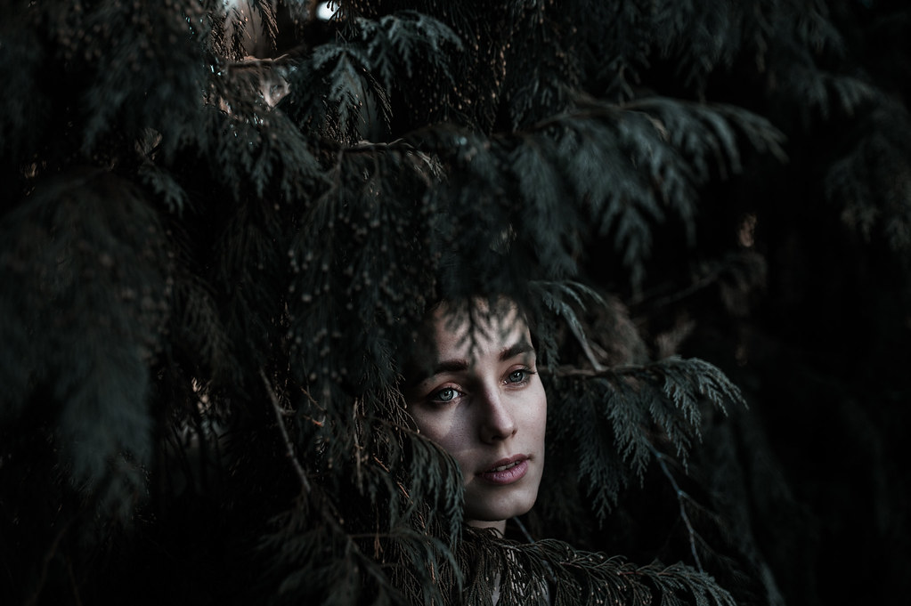 Laura Alexander Flickr