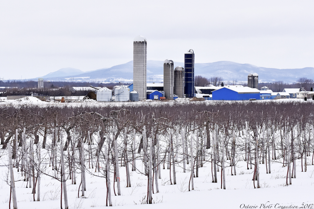 7918 Farnham Quebec ontario photo connection Flickr