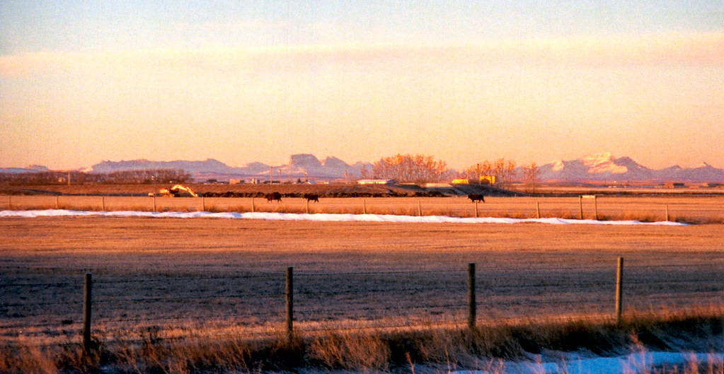 Early morning, Raymond, Alberta Blue Trail Photography Flickr