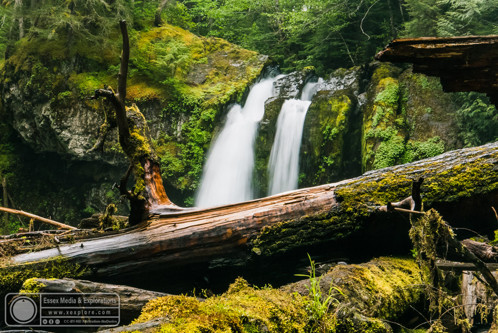 Iron Creek Falls Iron Creek Falls. Photograph by Steve Wei… Flickr