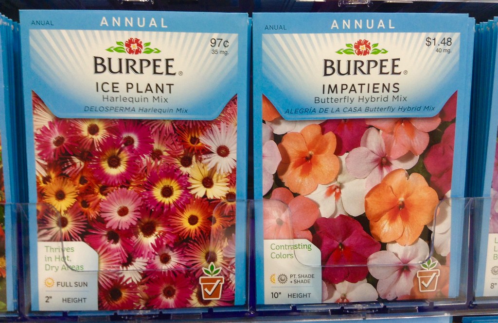 Burpee Flower Seeds Burpee Flower Seeds Packs, 1/2015, Wal… Flickr