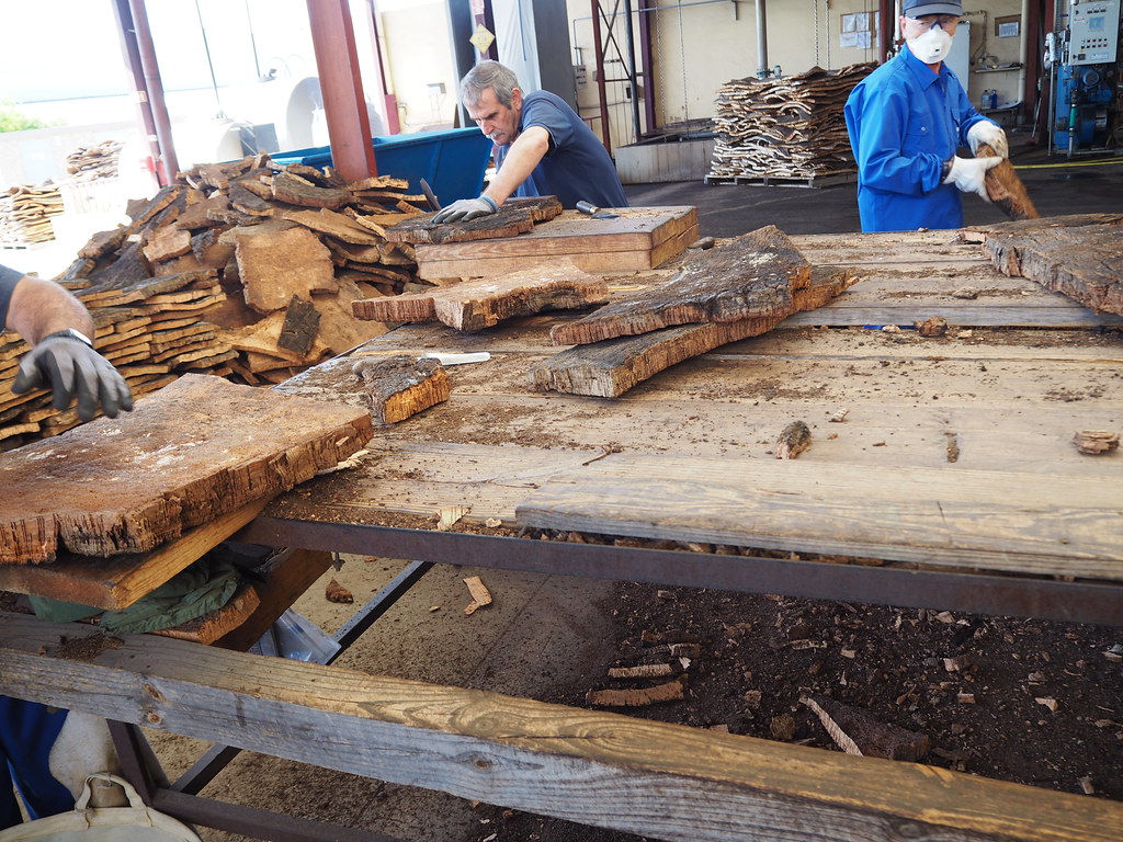 cork factory tour P5250798 This.Usually.Works Flickr