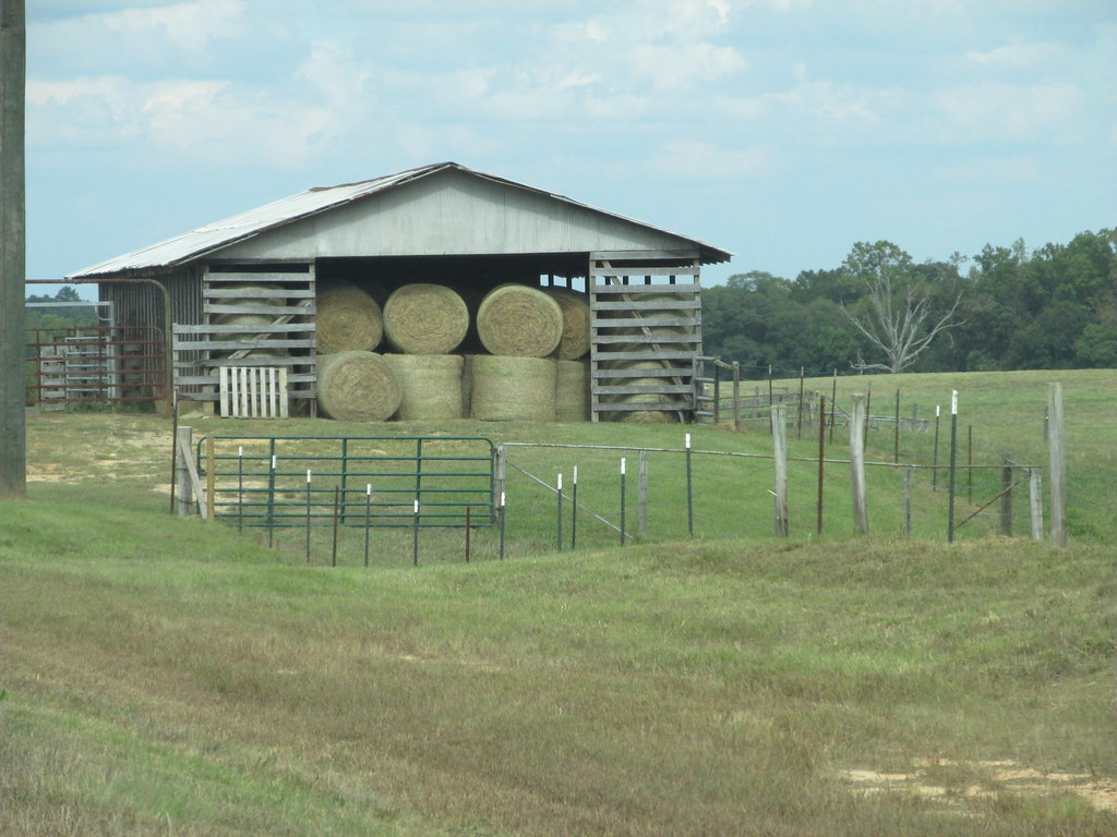 Hay! A hay barn along Highway Five near Whitesburg, Ga. Lisa Cooper Flickr