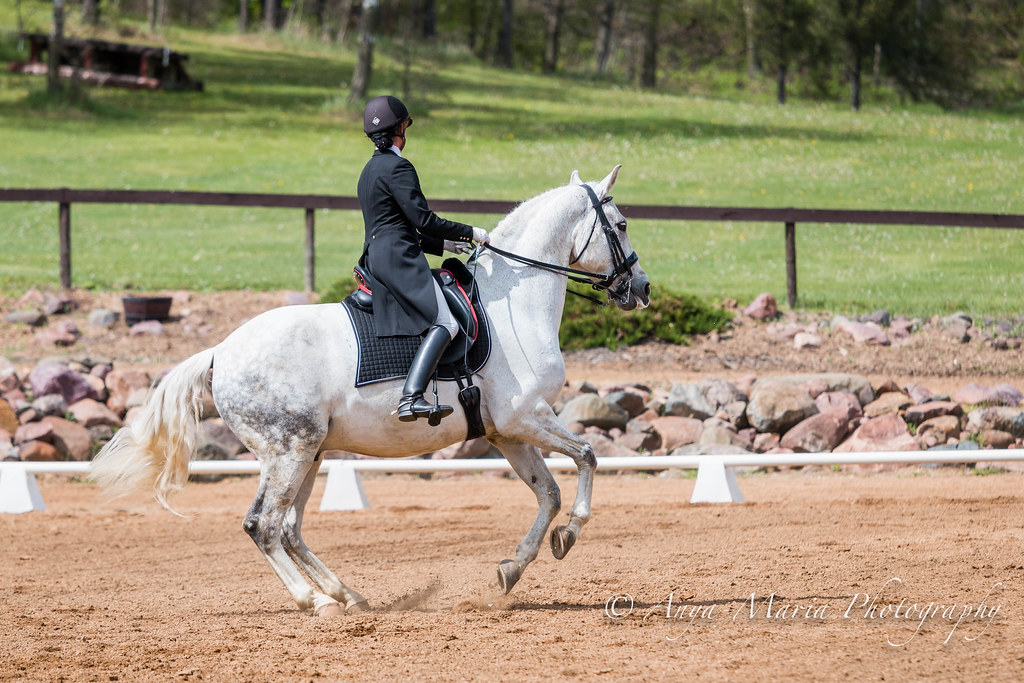 Otter Creek Dressage Show Flickr