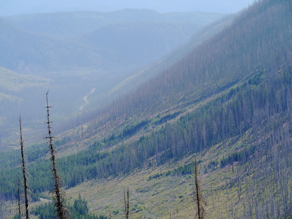 Elevation of 4th St N, Lincoln, MT, USA Topographic Map Altitude Map