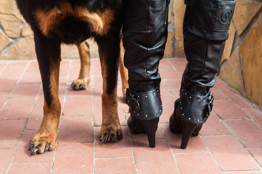 Dogs feet and high heels Big Sur, Carmel, California, USA Flickr