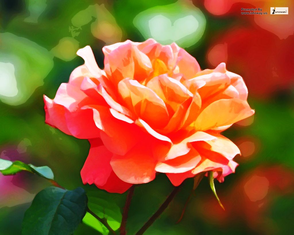 347 Wallpaper Flower Ke Images & Pictures My