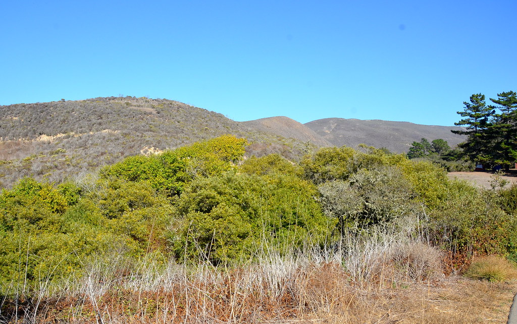 Islay Creek, Montana de Oro SP, SLO co. CA, 101113 Flickr