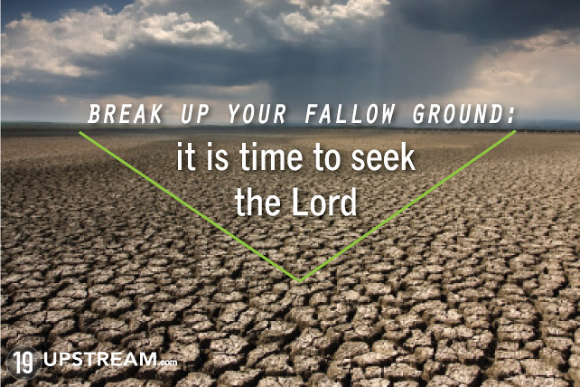 Cultivating A Spirit of NEWNESS (Sermon) Return to the