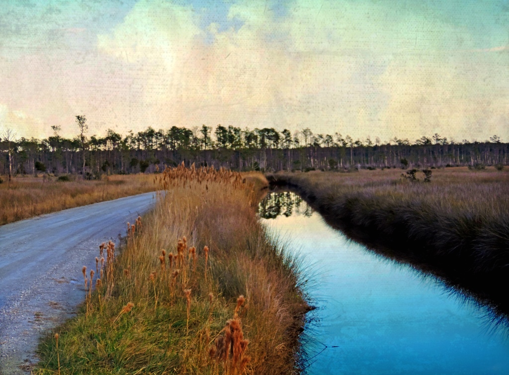 Gravel Roads and Drainage Ditches Hobucken Vicinity, Pamlico County