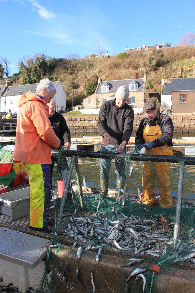 Avoch Herring Landing, February, 2014 Sandy Sutherland Flickr