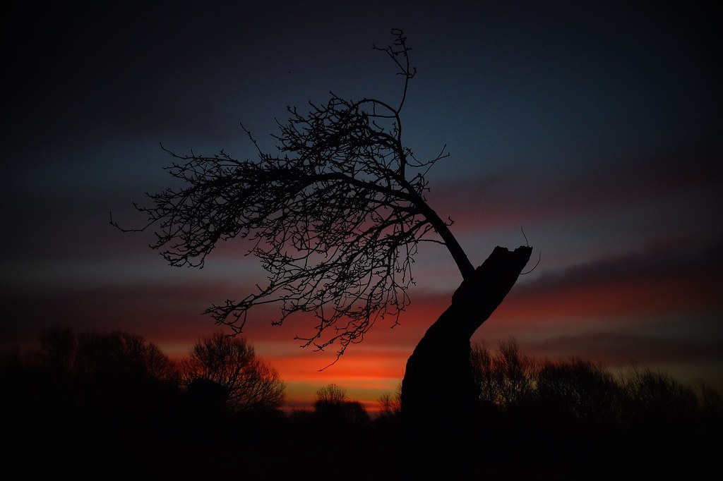 Salida y puesta de sol de Digby, Lincoln LN4 3LZ, Reino Unido