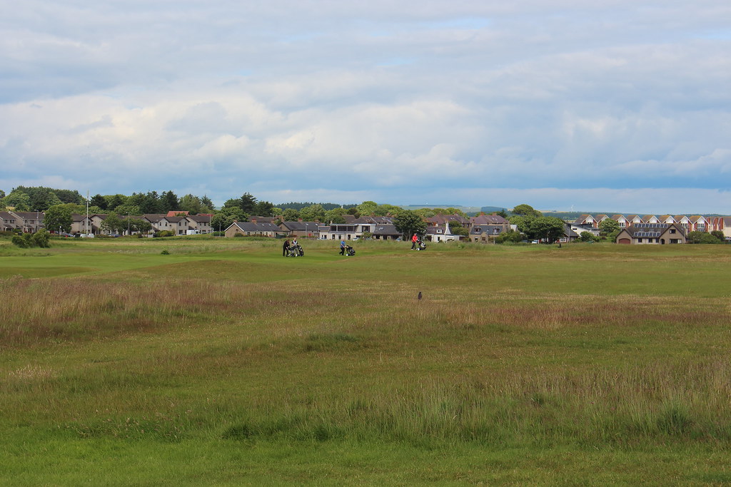 Newburgh Golf Club_jul 16_157 Alan Longmuir. Flickr