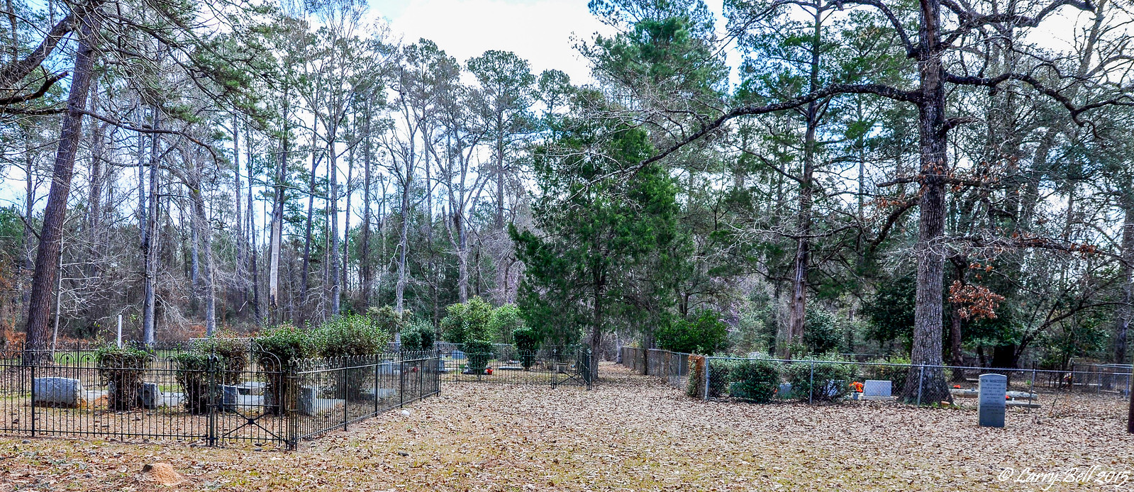 Harris Cemetery Washington County Alabama Flickr