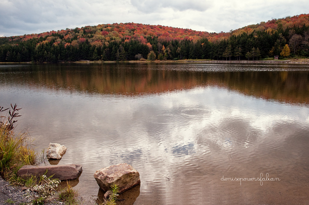 Fall at Spruce Lake Spruce Lake, near Spruce Knob, Pendlet… Flickr