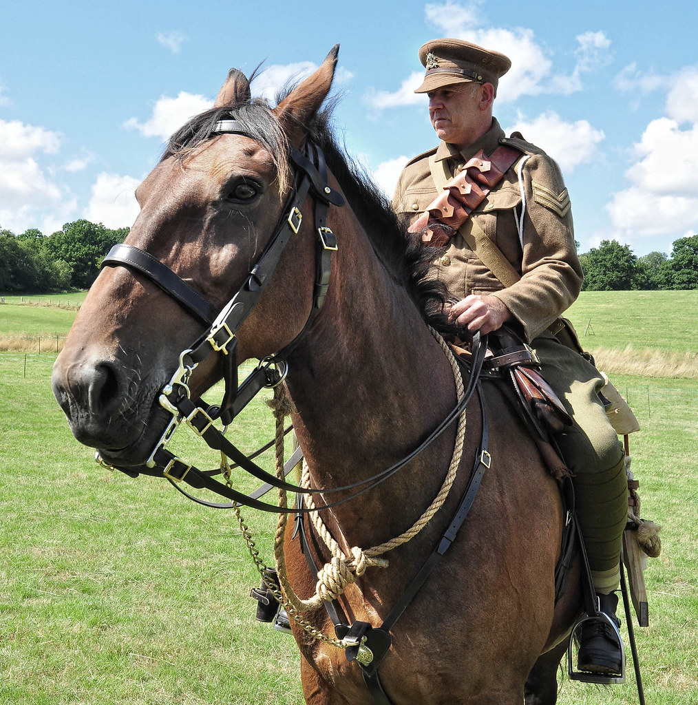 War Horse Paul Flickr
