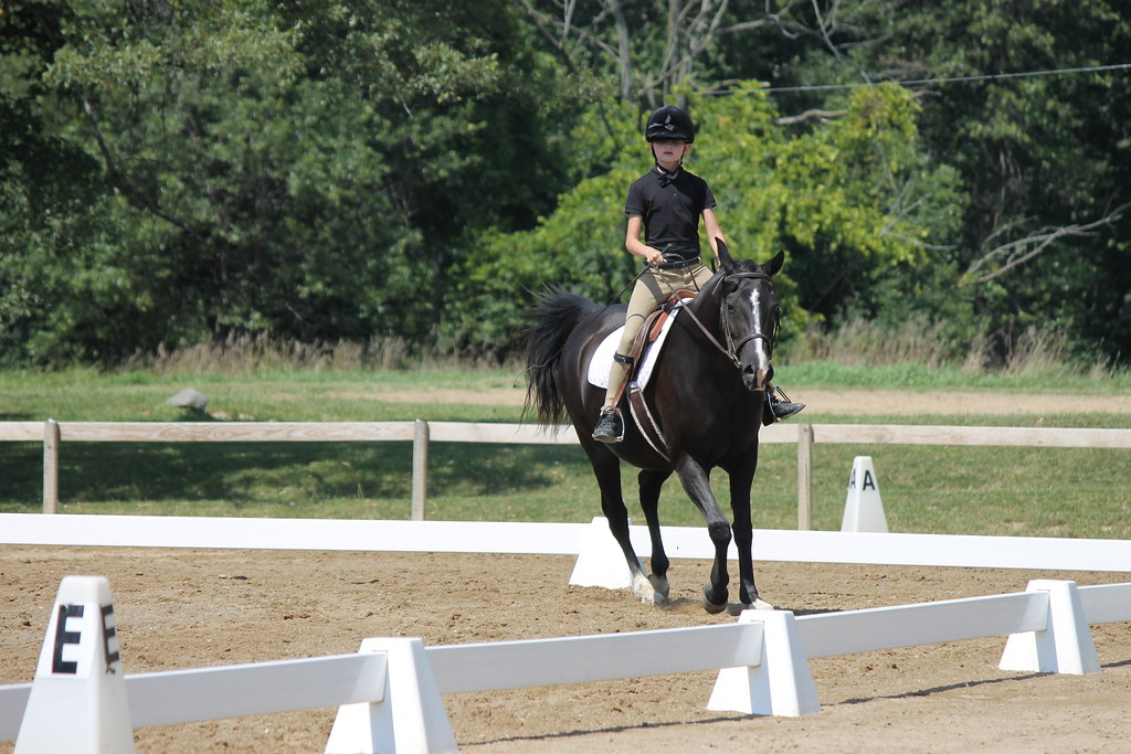Dressage at Woodbine Schooling Show (August 25, 2013 Che… Flickr