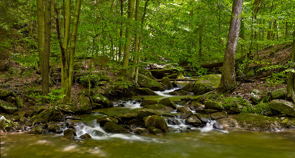 Roaring Run Detail Near Apollo PA/ Always a beautiful loca