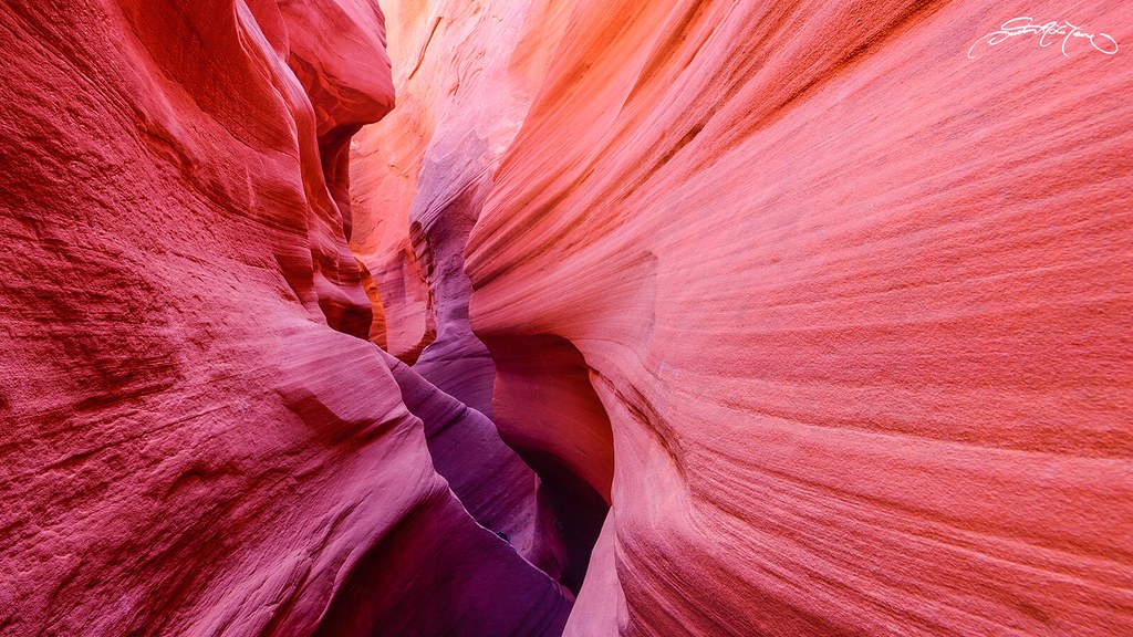 Taffy Stretcher Dustin Lefevre Flickr