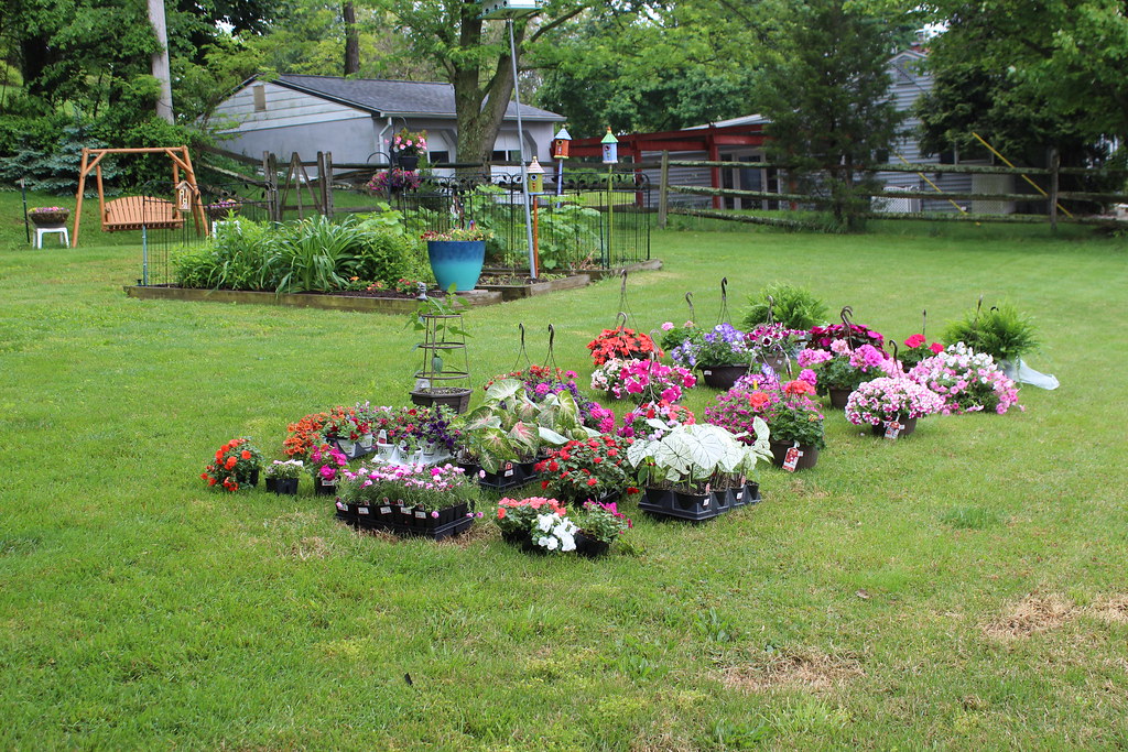 Catoctin Mountain Growers 029 The amazing score from a dis… Flickr