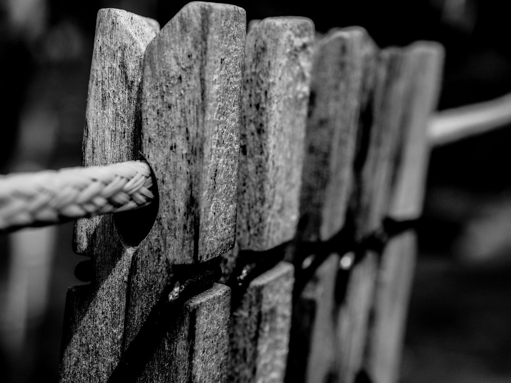 Clothespin OLYMPUS DIGITAL CAMERA Ólafur Ingi Flickr