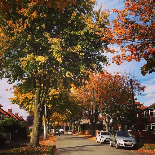 Autumn Hull Seong Hyeong Flickr