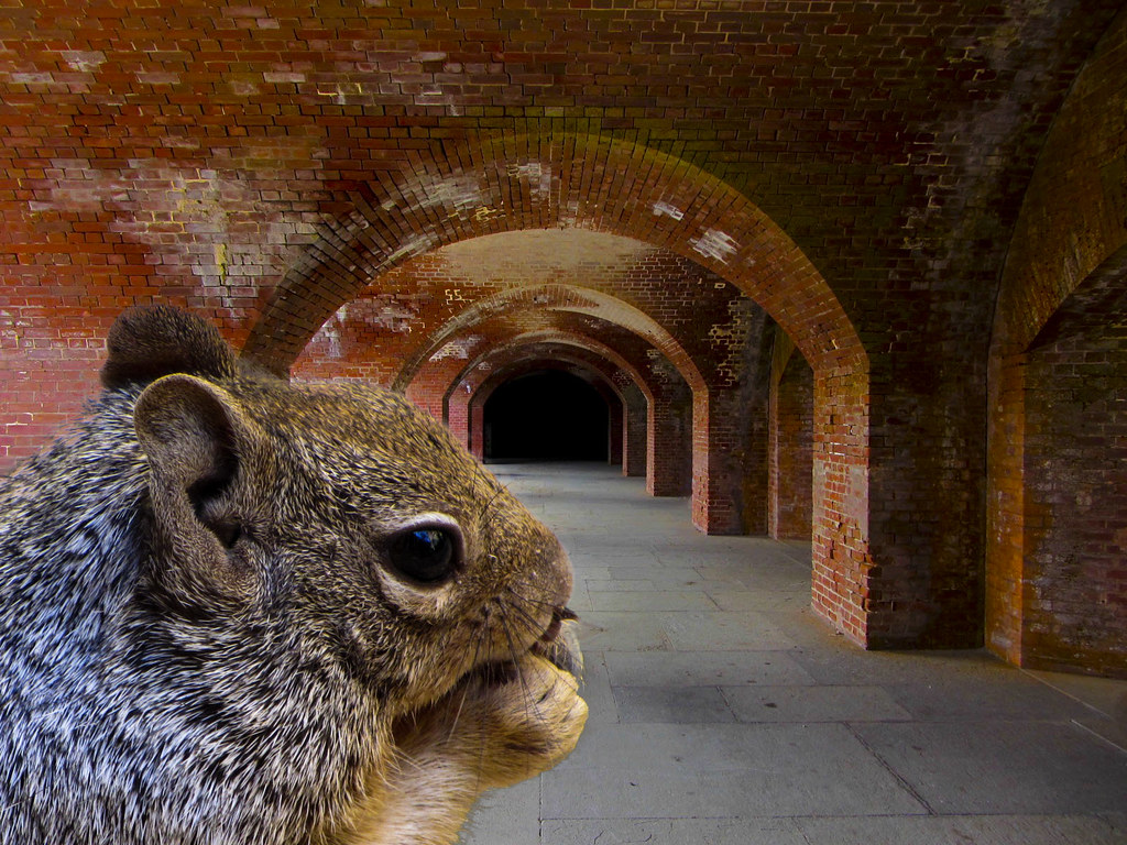 arches 2 and squirrel Emma P. Yates Flickr