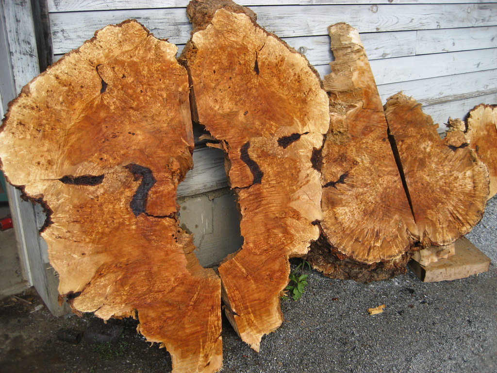 Willow Wood . . . strong figure, will be fabulous finished… Flickr