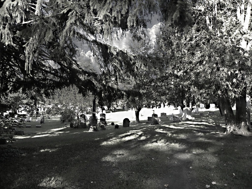 Christ Church and Manlius Village Cemeteries Manlius New York