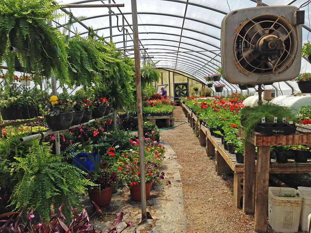Business Spotlight K & M Greenhouse Greenville, Kentucky
