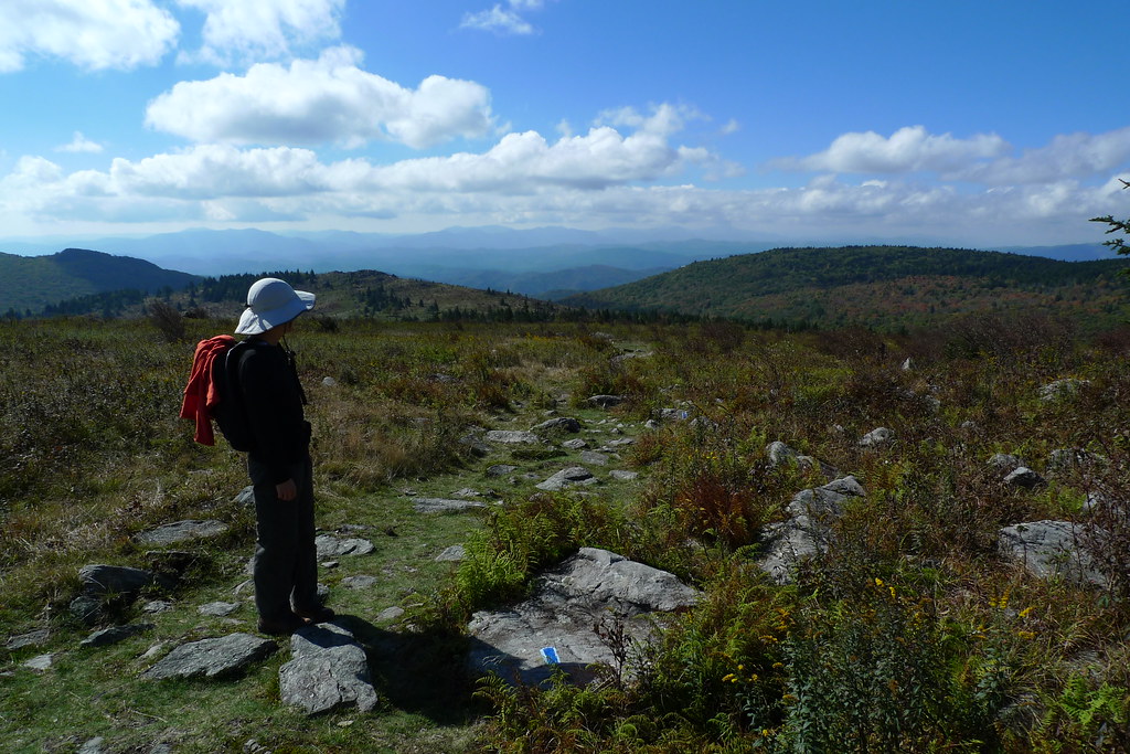 View from Wilburn Ridge Trail Mt. Rogers Recreation Area near Mouth