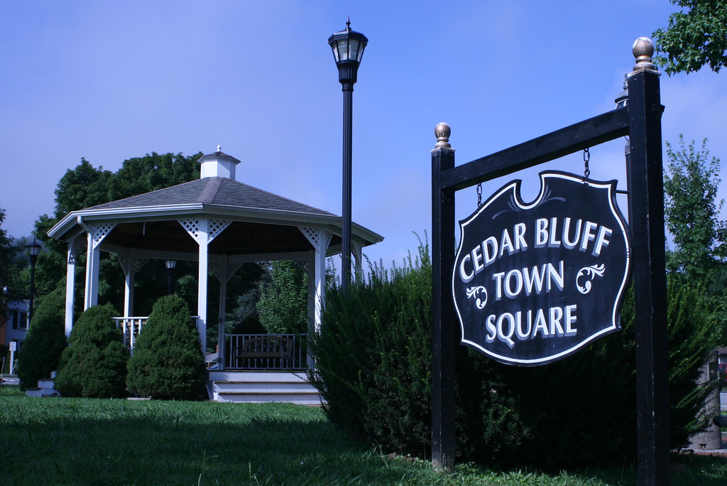 IMG_8328 Clinch River Flickr