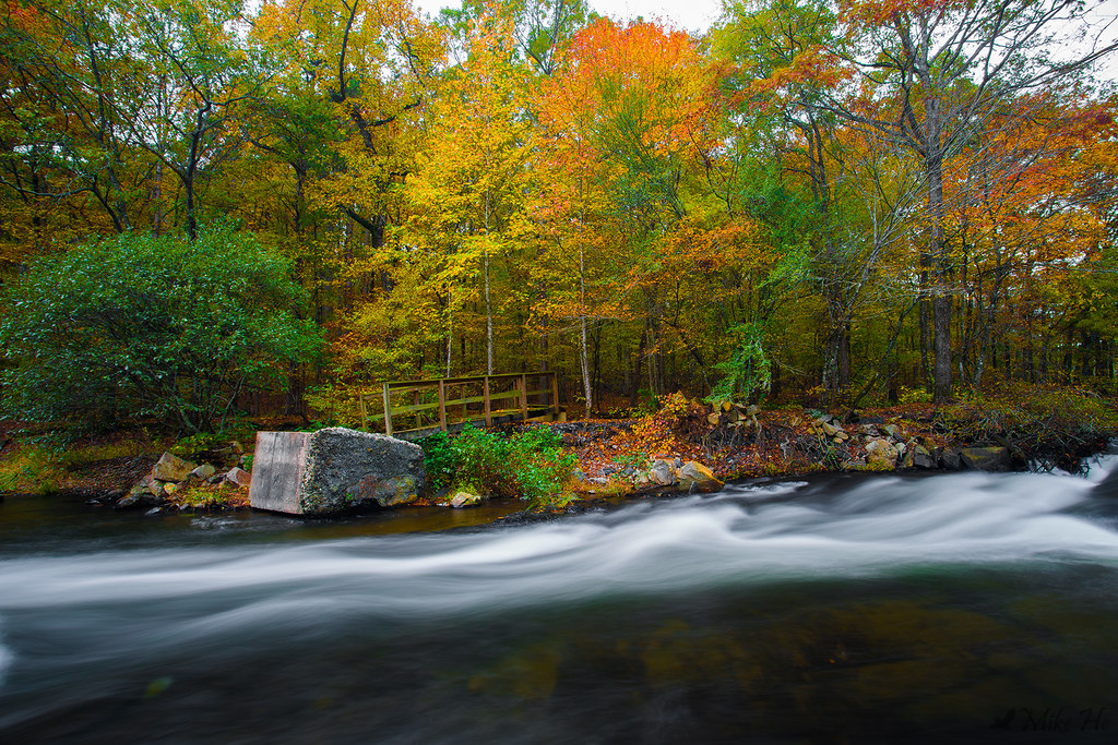 beaversbend1361 Beavers Bend State Park, OK, 1192013 Mike He