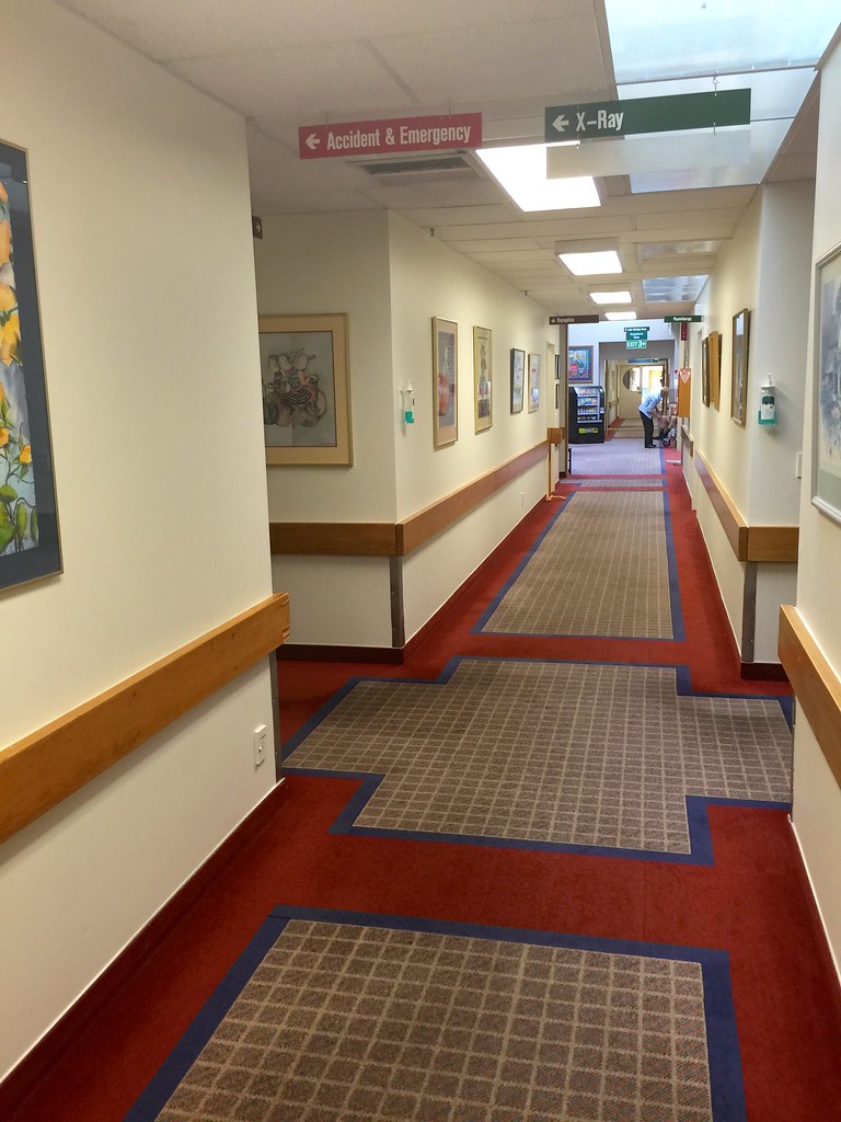 New Zealand Lake District Hospital Murray Breen Flickr