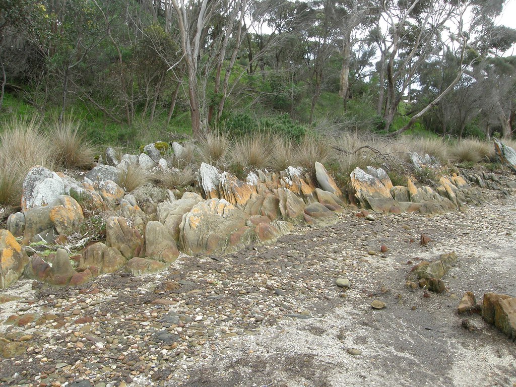 Kangaroo Island. American River foreshore Contemplari Flickr