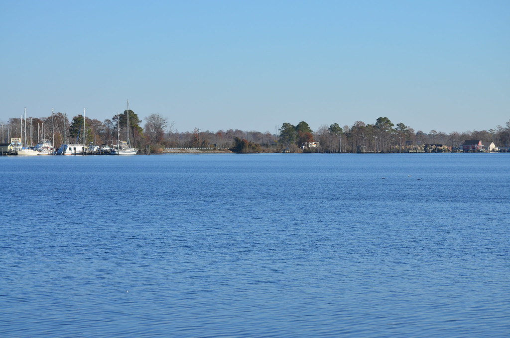 DSC_0274 Waterfront Park Elizabeth City, NC Lotus Flower Flickr