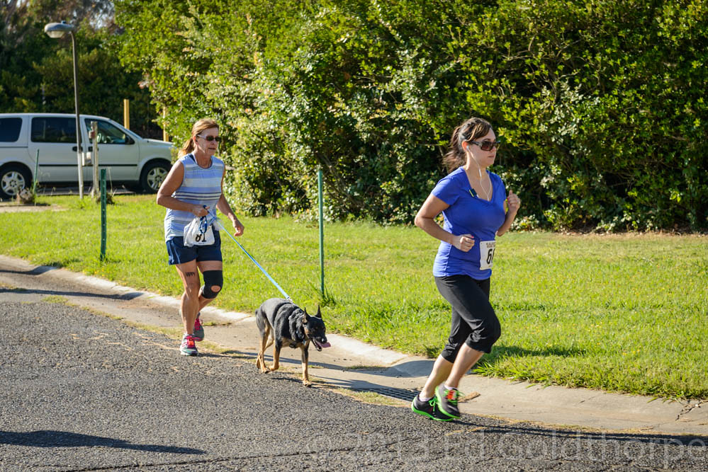 DSC_4344.jpg suburban trunk monkey Flickr