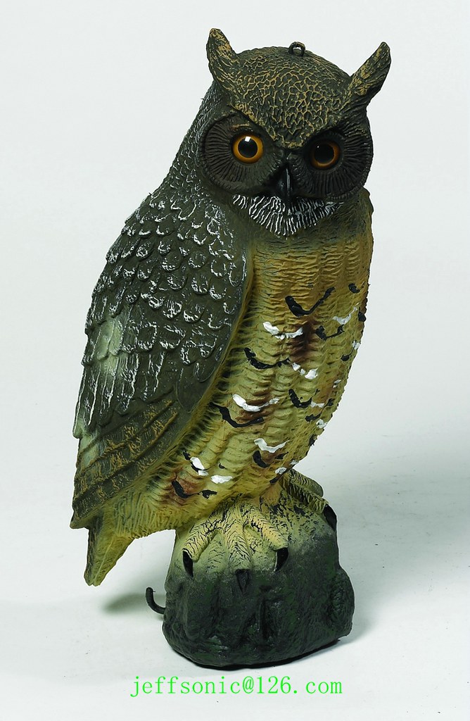 Plastic Decoy Owls Flickr