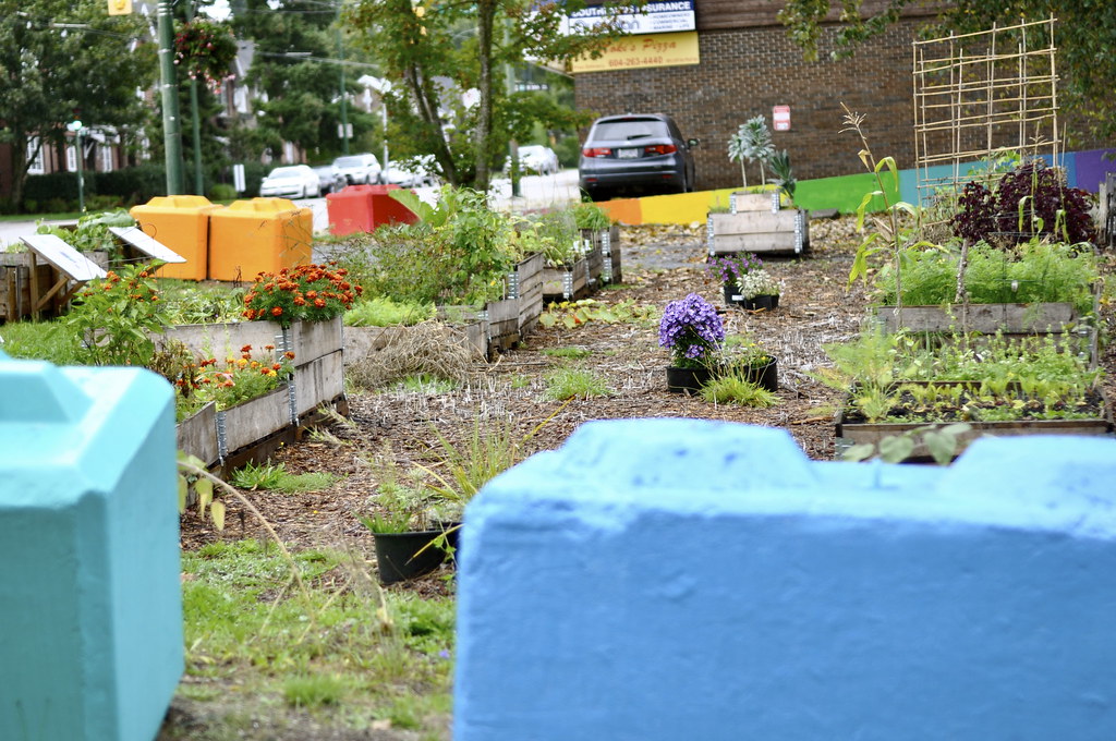 Dunbar Temporary Community Garden 05.2013 Flickr