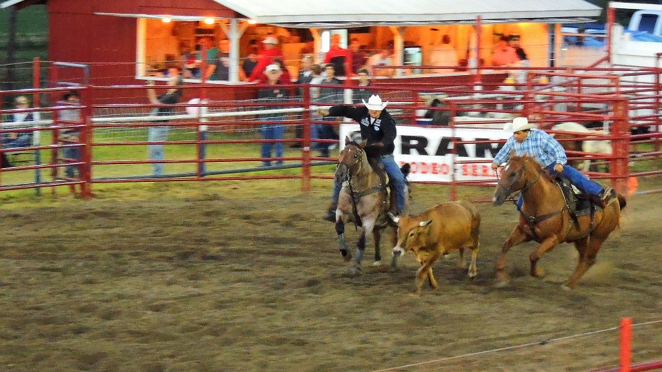 Gerry Rodeo Gerry, New York. August 2013 Jim Mullhaupt Flickr