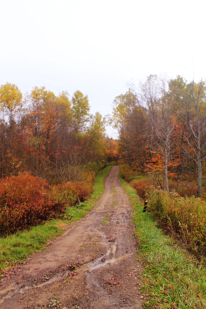 Ruts On Eggleston Hill Road Flickr